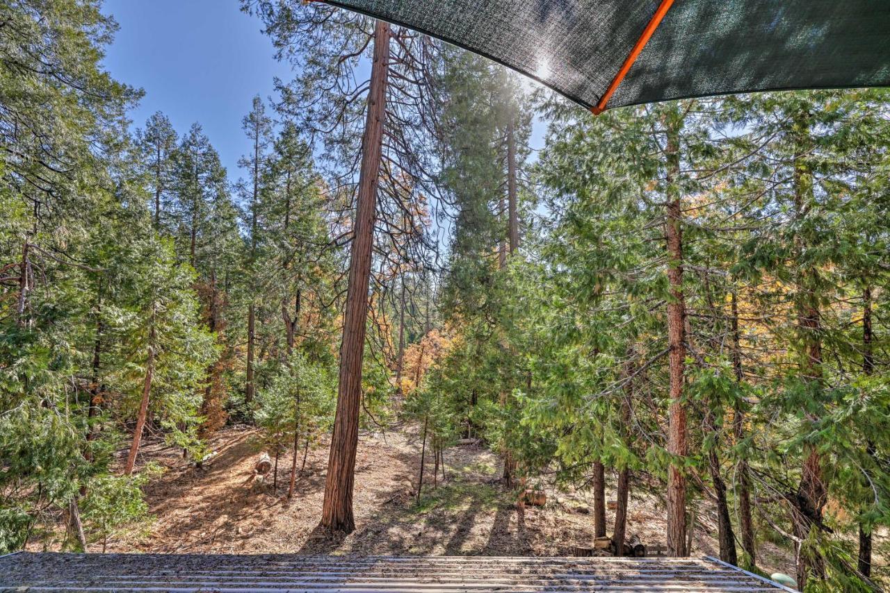 Quiet Twain Harte Cabin With Deck And Forest Views! Esterno foto